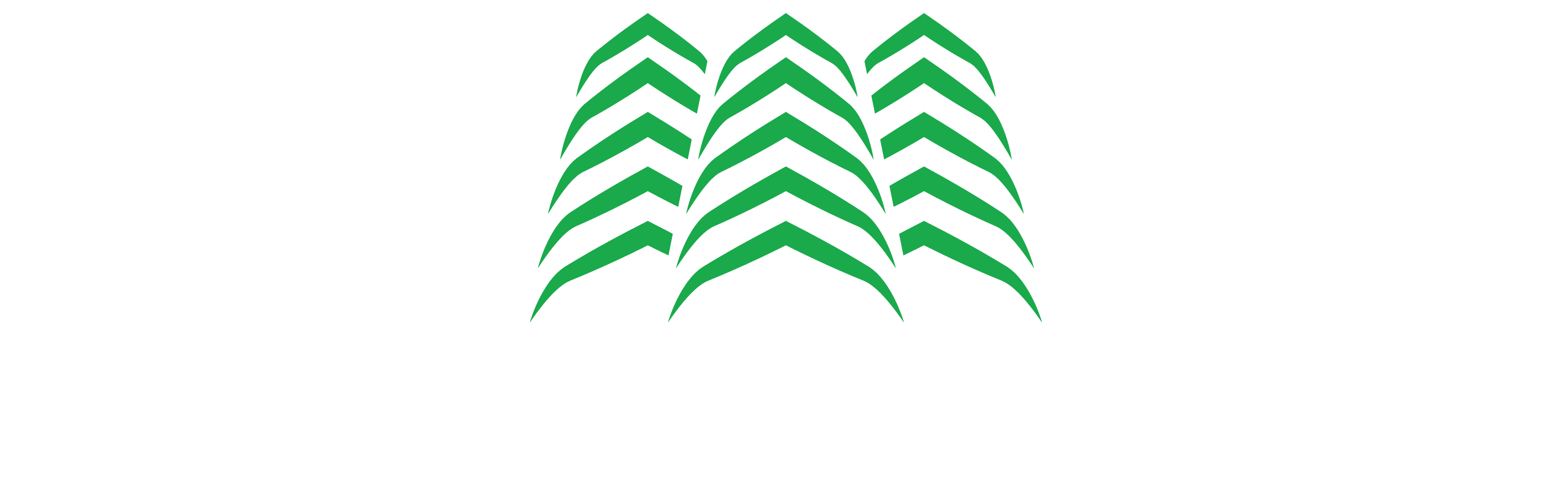 Jade Art Group